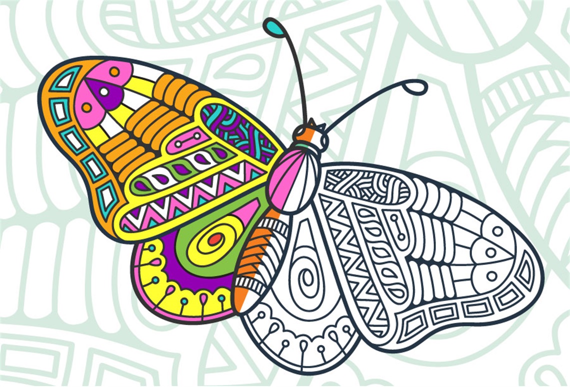 Picture of a partly coloured in butterfly illustration.  