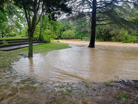 Flooding from Cyclone Gabrielle at Cafler Park in central Whangarei. 