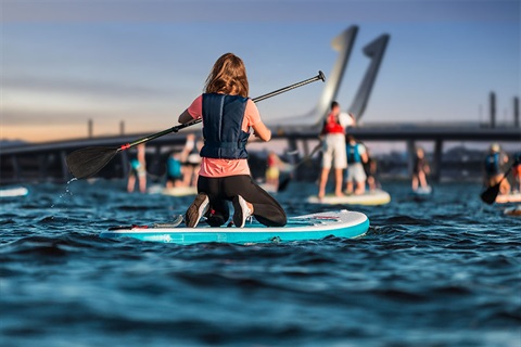 People paddle boarding in Whangarei Harbour in front of Te Matau a Pohe bridge.