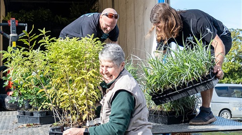 One woman and two men unload native plants from a truck at Botanica.