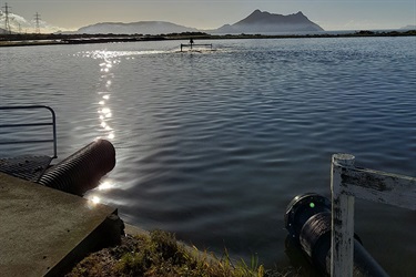 A photo of the Bream Bay wastewater treatment plant.