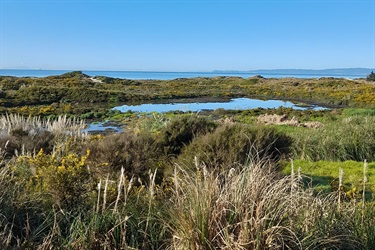 A photo of the Bream Bay wastewater treatment plant.