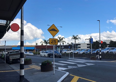 A photo of the Vine Street raised pedestrian crossing.