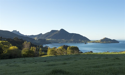 A view of Whangarei Heads.