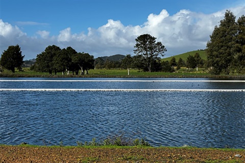 The pond system at the Hikurangi Wastewater Treatment Plant. 