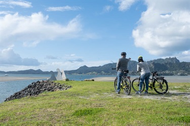 Two people on bikes admiring harbour views from Marsden Bay reserve area, One Tree Point.