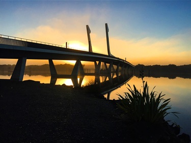 Te Matau a Pohe bridge at night.