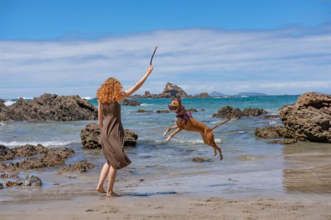 Photo shows a woman plays with her dog at the Beach. 