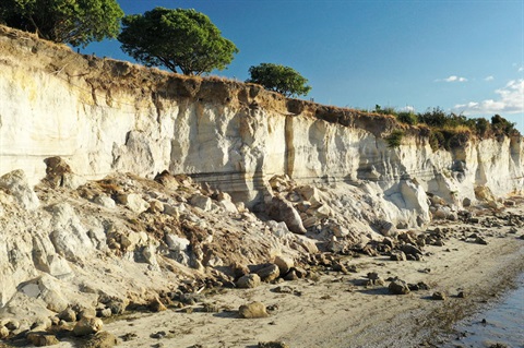 Photo of erosion of cliffs at One Tree Point. 