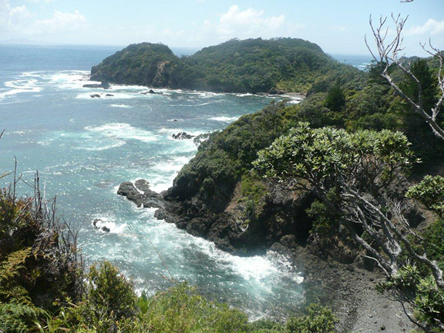 Looking down the hill to Whale Bay and the beach. 