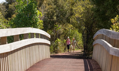 Bridge over Waimahanga walkway with two walkers and a dog in the distance. 