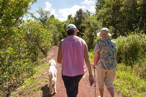 Two people walking a dog on the Waimahunga Track. 