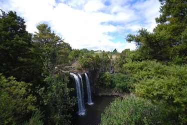 View of Otuihau Whangārei Falls and surrounding trees taken from one of the viewing platforms.