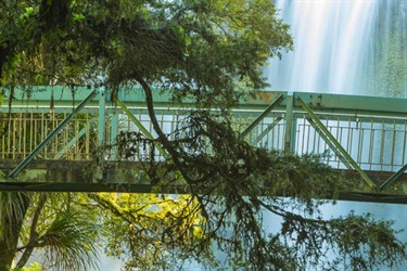 Image of the bridge on Sands Road loop with Otuihau Whangārei Falls in the background.