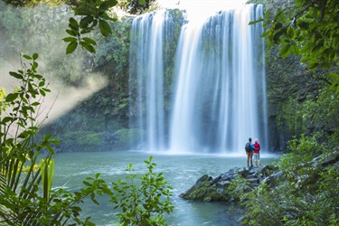 Image of Otuihau Whangārei Falls showing a man and woman standing in front of the waterfall.