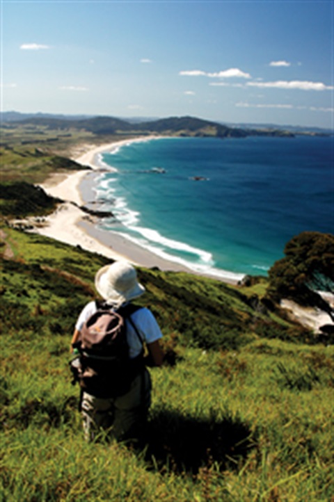 Bream Head Scenic Reserve