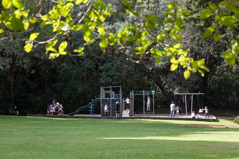 Image of Mair Park for Parks and Reserves fees page.