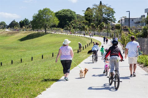 A group of walkers and cyclists on the Kamo Shared Path near the CBD. 