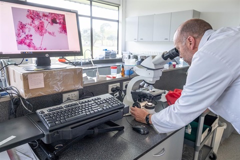 Image of wastewater testing lab for  Laboratory Testing fees page.