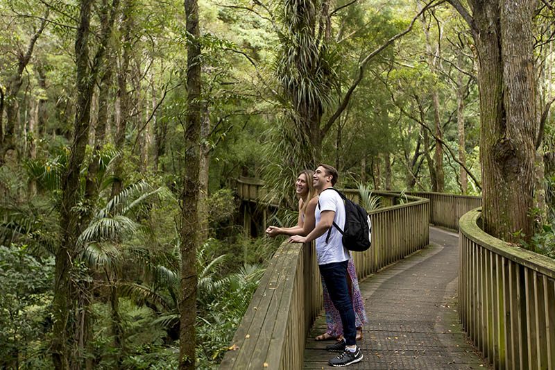 A H Reed Memorial Park and Walkway. 