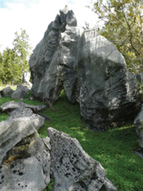 Photo of a limestone rock outcrop at Abbey Caves. 